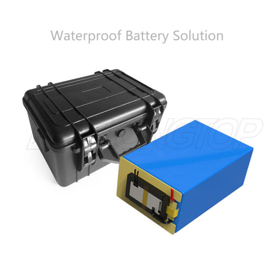 Paquet de batterie au lithium étanche portable 48V 50ah 24V 100ah LiFePO4 pour bateaux à moteurs électriques