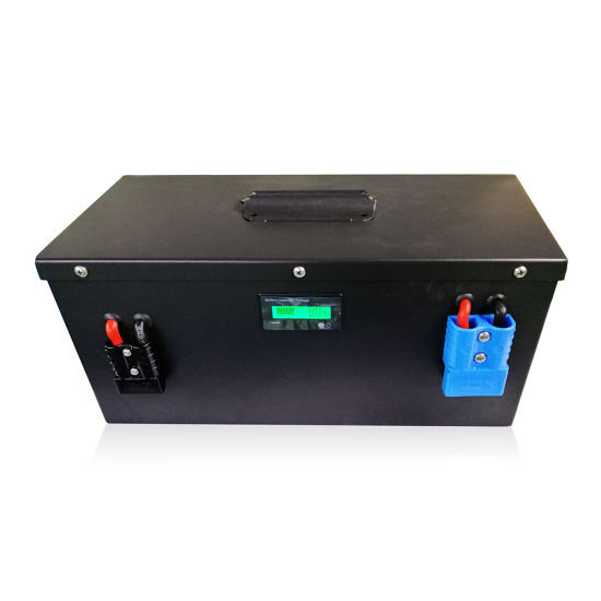 Batterie Li-ion 24V 100ah