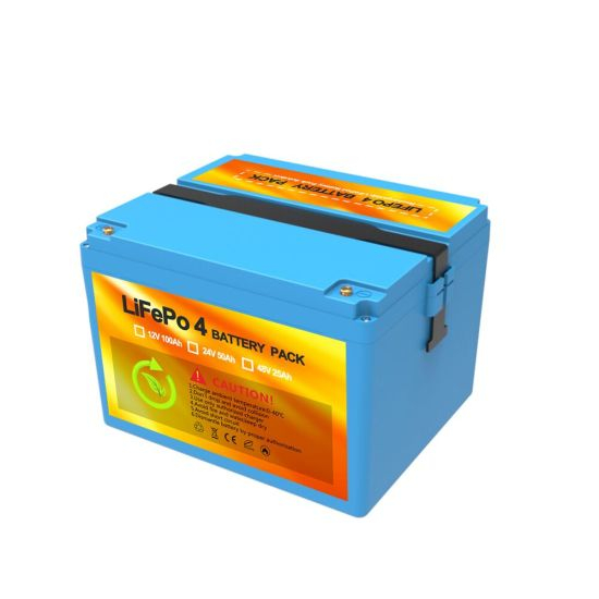 Batteries au lithium à décharge profonde Accu LiFePO4 12V 100ah Batterie