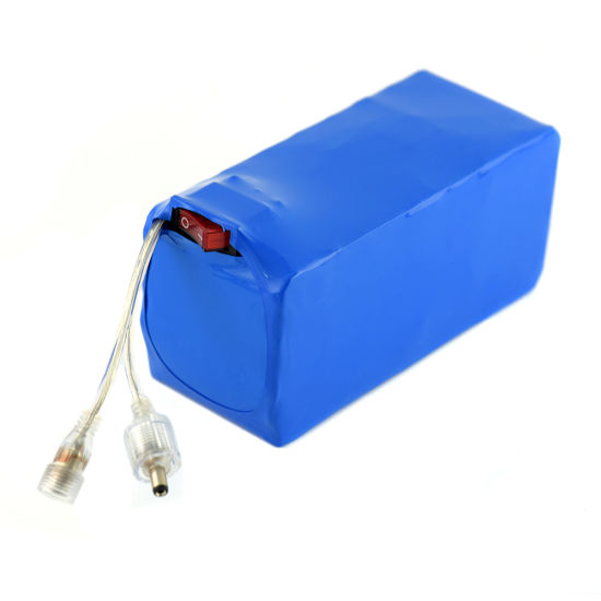 Batterie au lithium-ion 12V 30ah avec prise CC