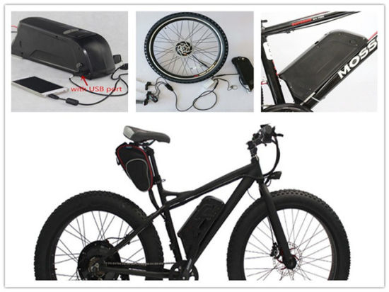 Type de tube de descente de batterie de dauphin Batterie au lithium de bicyclette d&#39;Ebike Batterie au lithium 48V 13ah