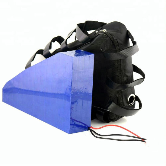 Type de sac de triangle de paquet de batterie de vélo de 48V 20ah E de cellules d&#39;ion de lithium 18650 pour le vélo électrique de 1500W