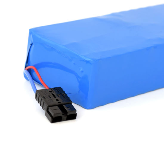 Batterie Lithium Ion Li Ion 48V 20ah pour Ebike