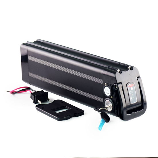 Batterie Li Ion 1000W Batterie Électrique Vélo E 48V 20Ah