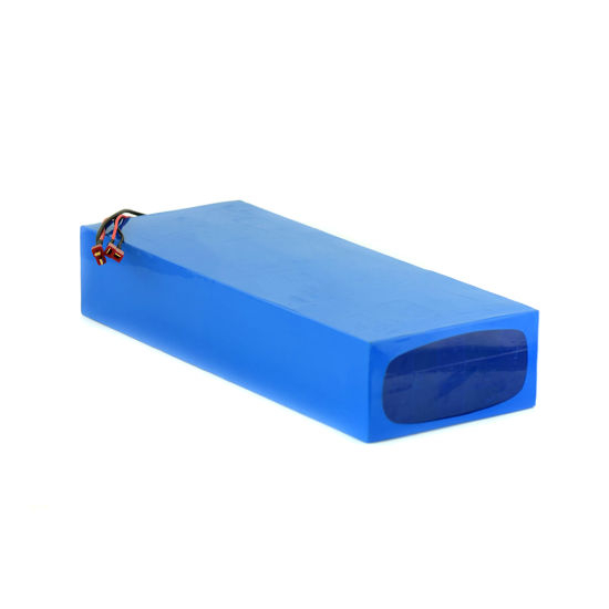 Batterie au lithium rechargeable 24V Li Ion 18650 pour la vente en gros