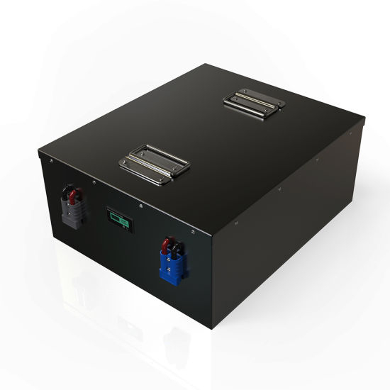 Batterie au lithium LiFePO4 48V 100ah avec BMS pour système solaire