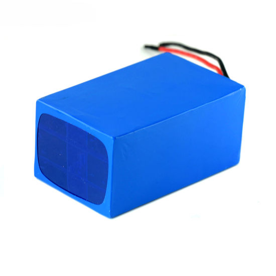 Batterie pour vélo électrique 24V 10ah Li Ion