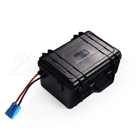 Batterie LiFePO4 24V 100ah Batterie Solaire RV Caravan EV Marine