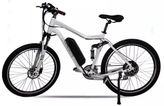 Batterie de vélo électrique 1000W 48V Ebike Hailong 48V 17.5ah avec chargeur, port USB, BMS