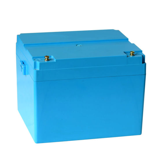 Batterie LiFePO4 12V 100ah avec BMS et boîtier Système Solaire Lithium Fer Phosphate