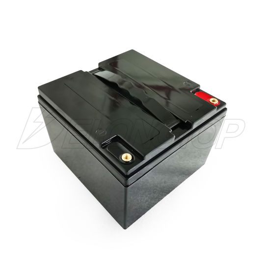 Usine 12V LiFePO4 Batterie 12V 25Ah Rechargeable Lithium Ion Batterie