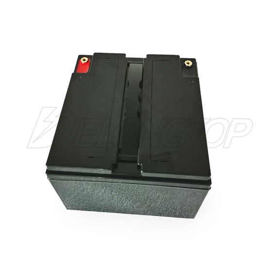 Batterie au lithium LiFePO4 12V 25ah personnalisée directement en usine avec BMS