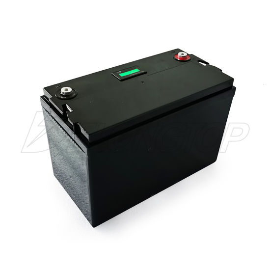 Batterie au lithium à décharge profonde 12V 100ah LiFePO4