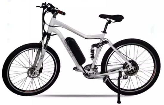 Hailong 26 &quot;500W 36V 12.5ah Fattire Mountain Beach Vélo Électrique Vélo E-Bike Ebike Batterie