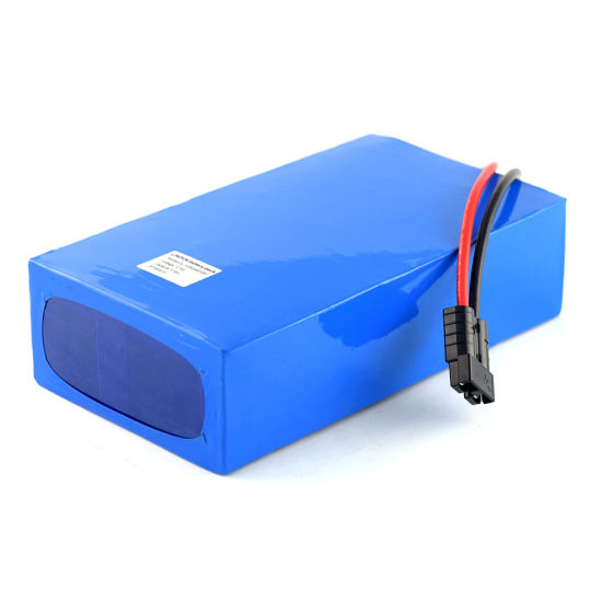 LiFePO4 Batterie Lithium Fer Phosphate à Cycle Profond 12V 50Ah