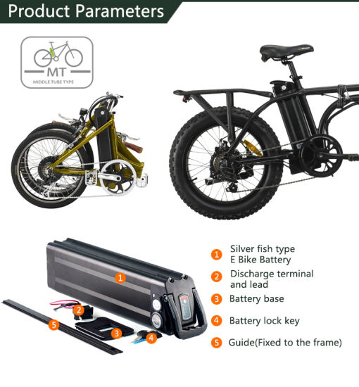 Usine Vendre 1000W Lithium Ebike Batterie Silver Fish Batterie 48V 20Ah