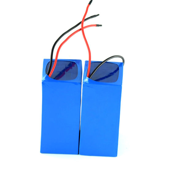 Vente en gros 12V Li Polymer Battery avec chargeur Chine Fournisseur