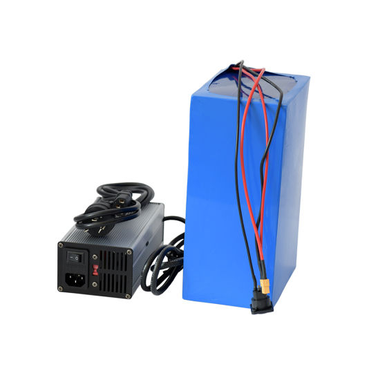 48V 20ah Lithium LiFePO4 Batterie pour Power 1000W E-Bike