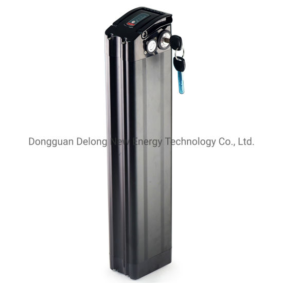 Batterie rechargeable 48V 20ah Silver Fish Lithium II Ion