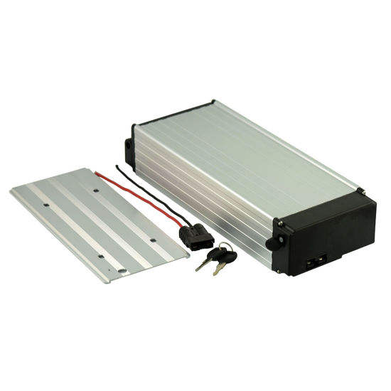 Batterie de vélo électrique 48V 20ah Batterie au lithium 1000W Ebike Batterie avec BMS