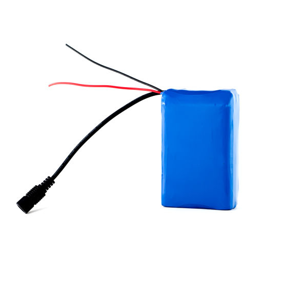 Batterie lithium-polymère rechargeable 11,1 V Lipo 6Ah