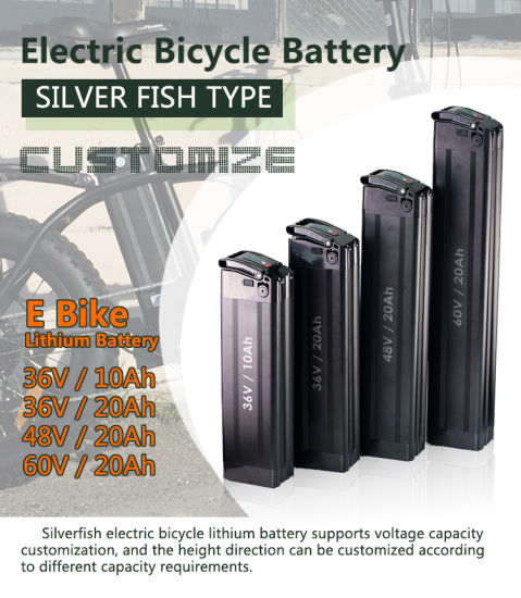 Silver Fish Lithium Ion Pack 48V 17.5ah 17ah Batterie Ebike USB pour moteur 750W 1000W