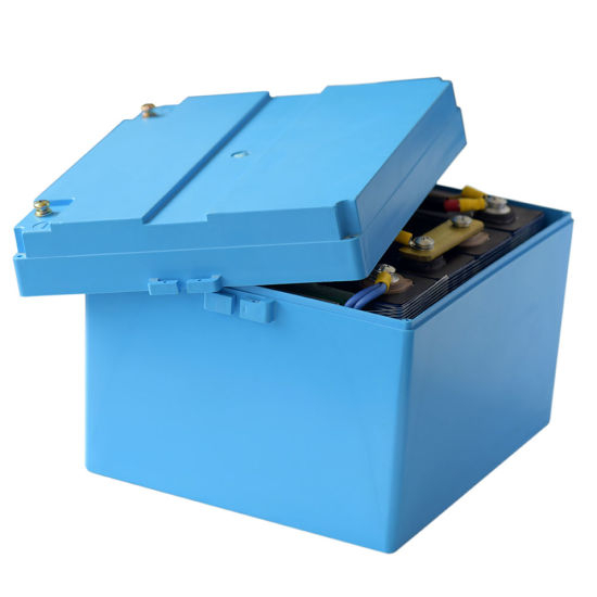 Batterie LiFePO4 12V 100ah avec BMS et boîtier Système Solaire Lithium Fer Phosphate