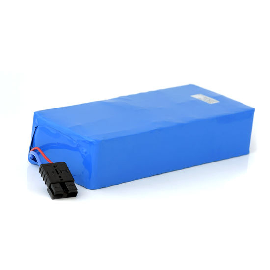 Batterie au lithium Li-ion 1000W 48V 20ah pour vélo électrique