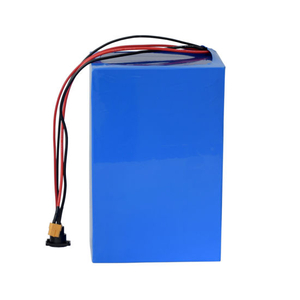 Batterie rechargeable LiFePO4 48V 40ah pour ampoule LED