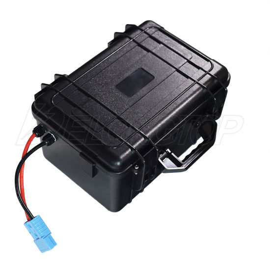 Batterie LiFePO4 24V 100ah Batterie Solaire RV Caravan EV Marine