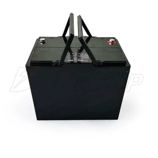 Batterie Portable Lithium Ion LiFePO4 4s2p Pack 12V 100ah