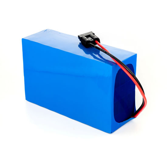 Batterie lithium-ion LiFePO4 haute tension 36V 10ah avec fils PCB