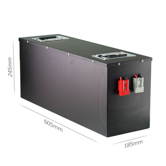 Batterie Lithium LiFePO4 48V 100Ah