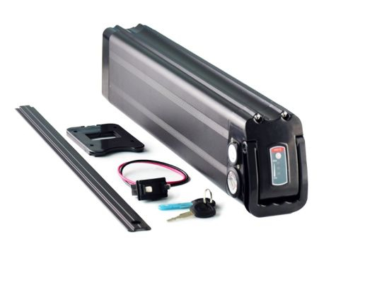 Silver Fish Lithium Ion Pack 48V 17.5ah 17ah Batterie Ebike USB pour moteur 750W 1000W