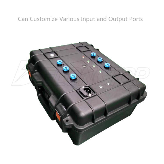 Paquet de batterie au lithium étanche portable 48V 50ah 24V 100ah LiFePO4 pour bateaux à moteurs électriques