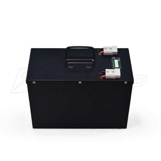 Batterie rechargeable LiFePO4 48V 50ah pour système solaire