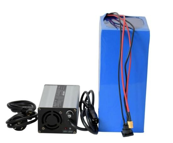 Pack de batterie au lithium Lipo à cycle profond personnalisé 48V 40ah