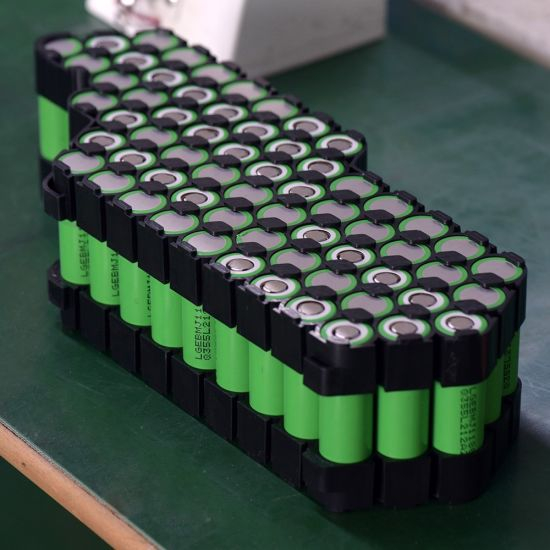 Batterie de vélo électrique au lithium-ion Tiger Shark Down Tube 36V 20ah avec chargeur