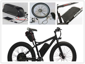 Batterie rechargeable de vélo électrique de type dauphin d&#39;OEM Li Ion 36V 10ah 12ah 15ah