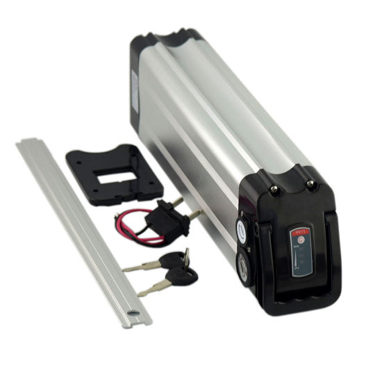 1000W 18650 36V 15Ah Silverfish Lithium Ebike Batterie Pack