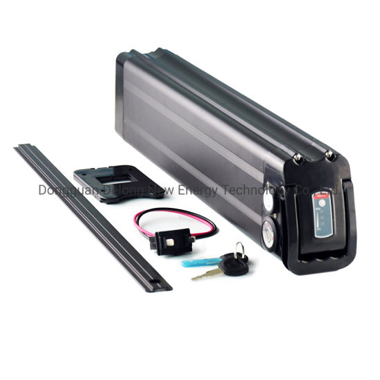 Batterie rechargeable 48V 20ah Silver Fish Lithium II Ion