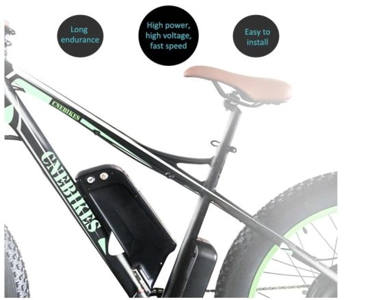 Batterie au lithium-ion de type dauphin 48V 10ah à cycle de vie longue pour batterie de vélo électrique E-Bike
