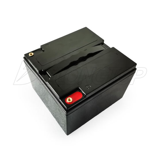 Batterie rechargeable portative de phosphate de l&#39;accu 12V 25ah LiFePO4 BMS 12V de 2000 cycles