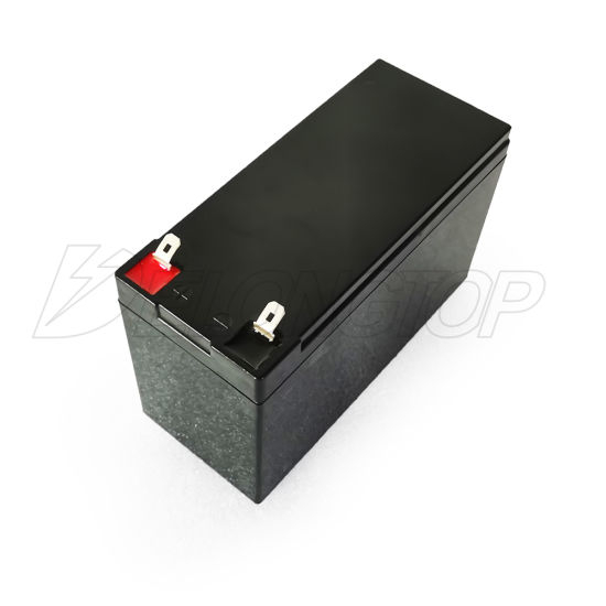 Batterie rechargeable au lithium 12V 7ah LiFePO4 avec boîtier ABS à bornes F2