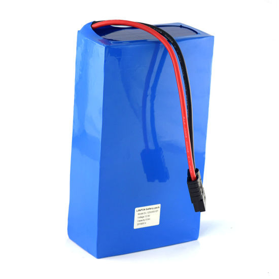 LiFePO4 Batterie Lithium Fer Phosphate à Cycle Profond 12V 50Ah